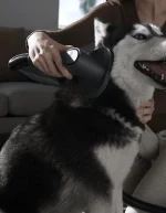 Xiaomi G20 Max pet grooming brush attachment being used on a golden retriever