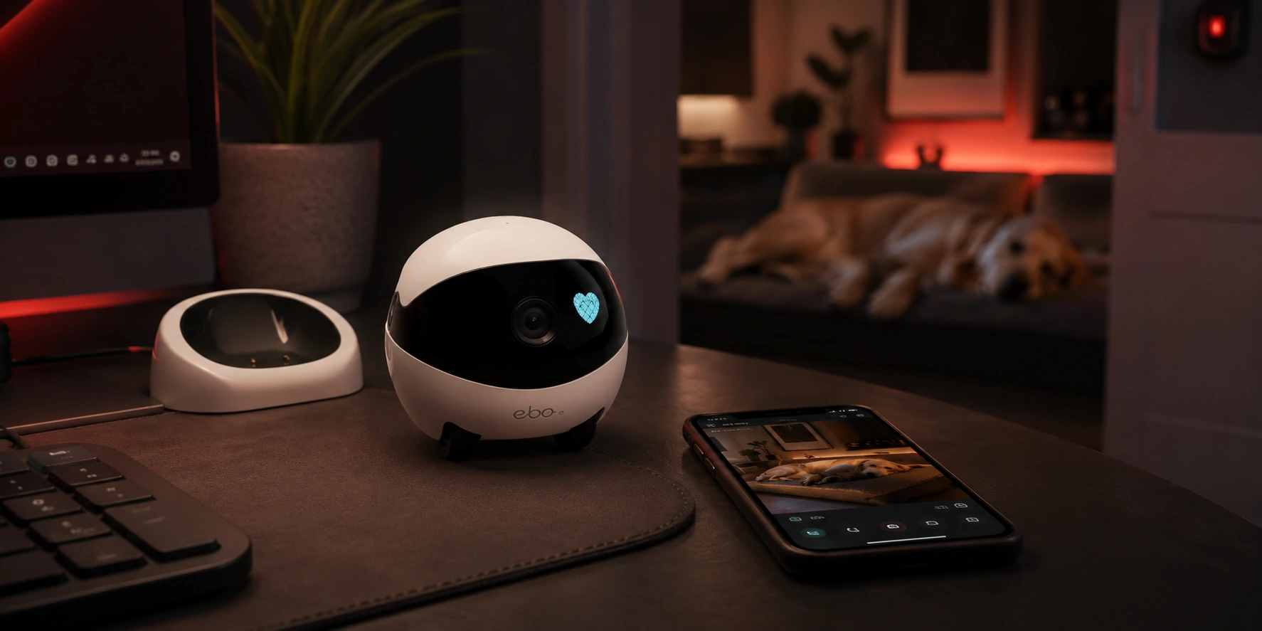 Pet Camera for Home