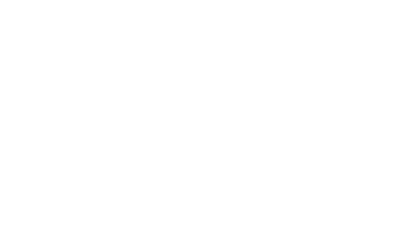 logo ecoflow